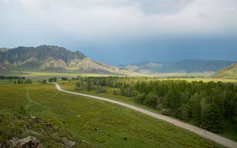 About Altai