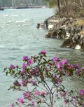 P10704012