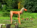 IMG_0762