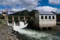 _NZ61539