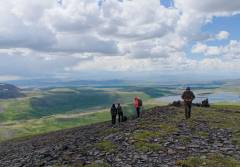 Радиальный выход